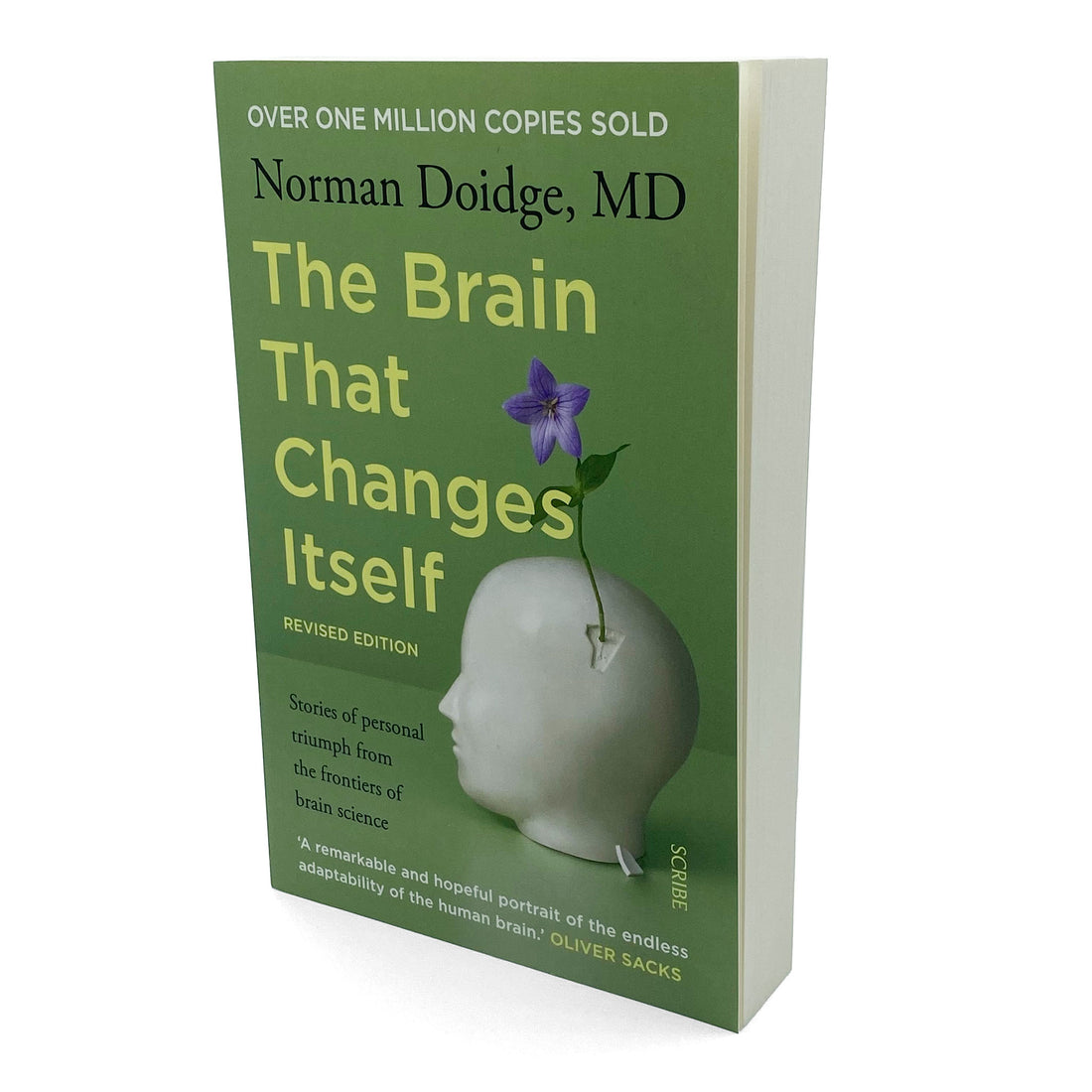 Norman Doidge The Brain That Changes Itself non-fiction book standing