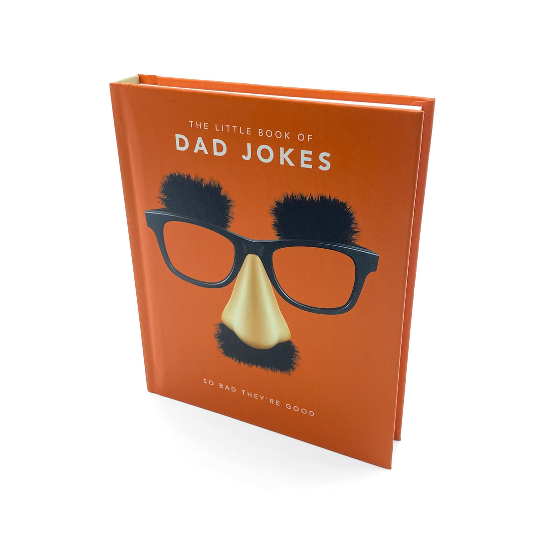 The Little Book of Dad Jokes Book