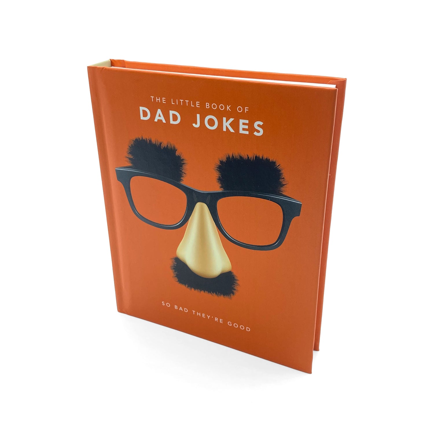 little-book-of-dad-jokes-from-the-little-book-of-series-the-independence-shop