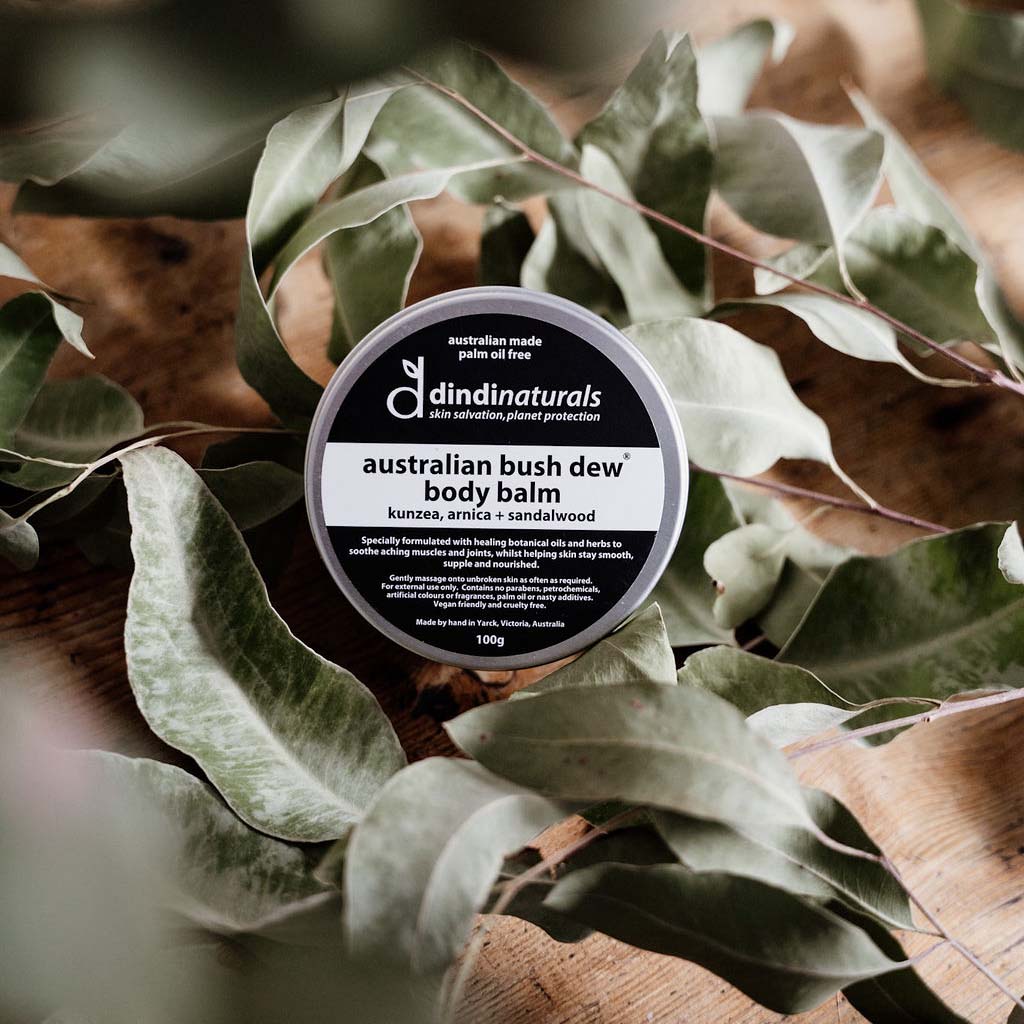 natural body balm tin surrounded by Australian leaves