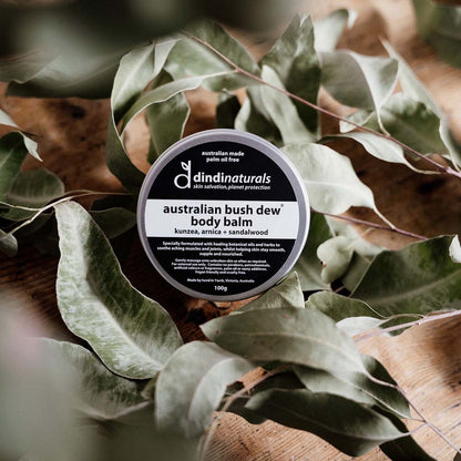 natural body balm tin surrounded by Australian leaves