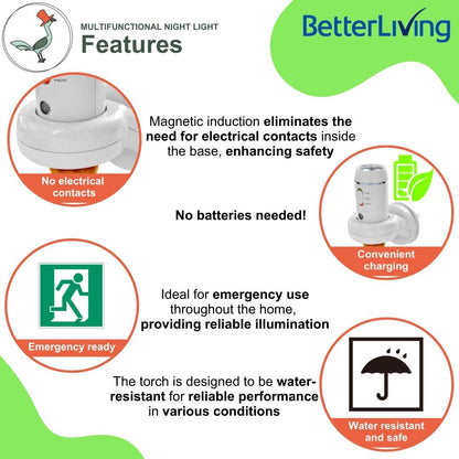 Features of the multifunctional night light