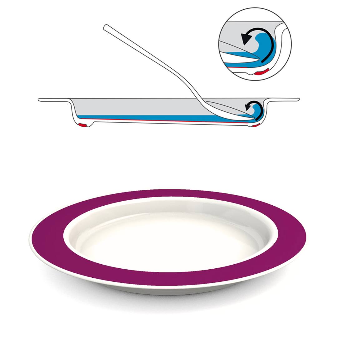 Large sloped plate blackberry with functional diagram